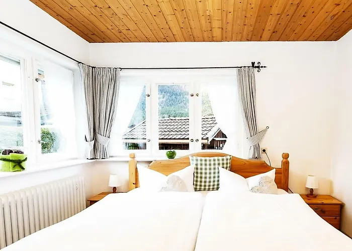 Alpspitzecho Daire *